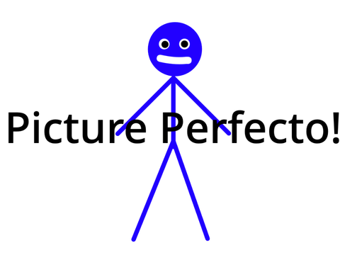 Picture Perfecto! || Game Jam 13