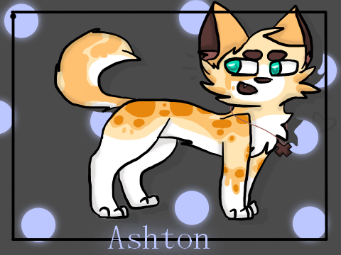 ADOPTS :: #1 entry