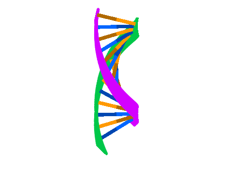 DNA SIM