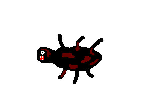Bug