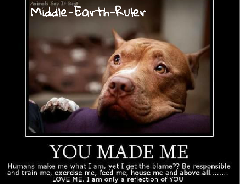 Sign To Stop Pit Bull Abuse!!!
