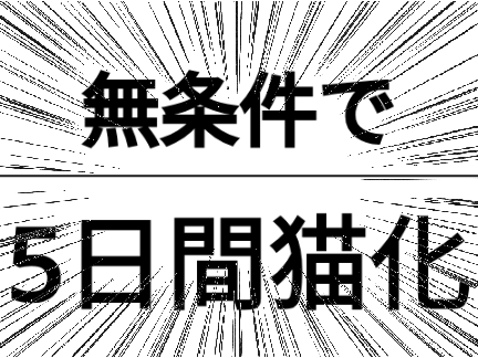 どーもどーも超鬼畜るぅれっとです☆