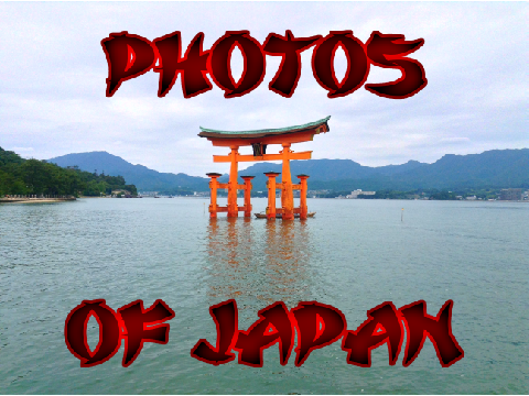 Japan Photo Dump