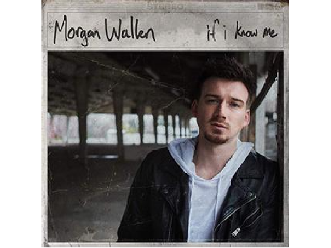 If I Ever Get You Back - Morgan Wallen
