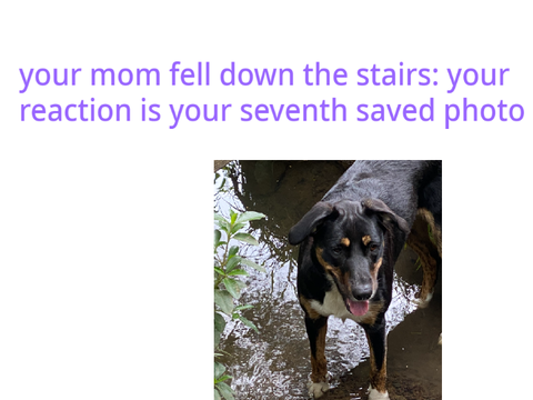your mom fell down the stairs: your reaction is your seventh saved photo remix remix remix re… remix