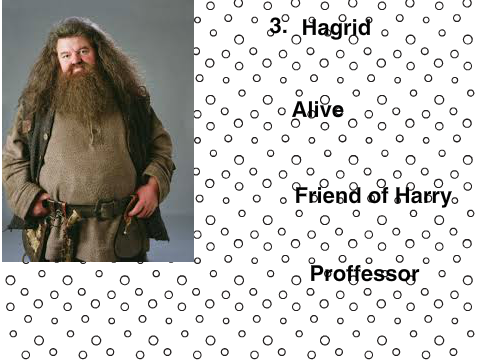 My top 5 harry potter chacters