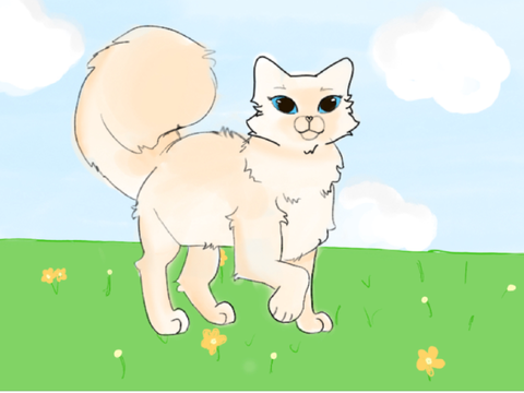 Art contest entry