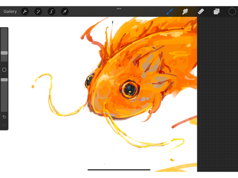 fish