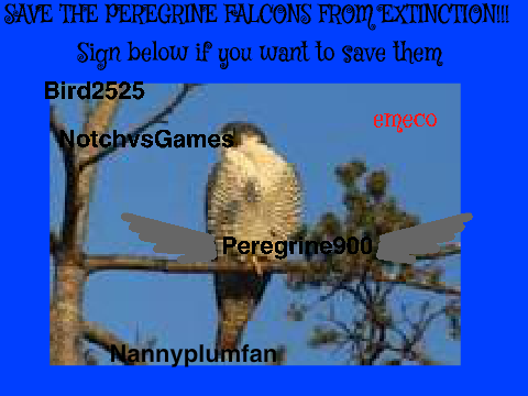 Sign If You Want To Save The Peregrine Falcons remix remix remix