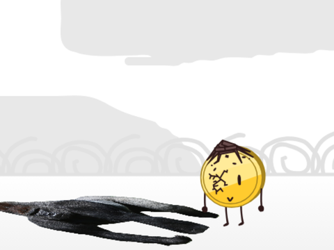 choco coin