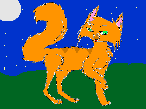  contest (broken) Entry