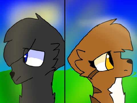 Am I Wrong? Crowfeather MAP Part 26