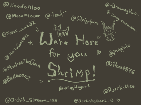 12. ~ very late thing for Shrimp [ @almostshrimp ] !