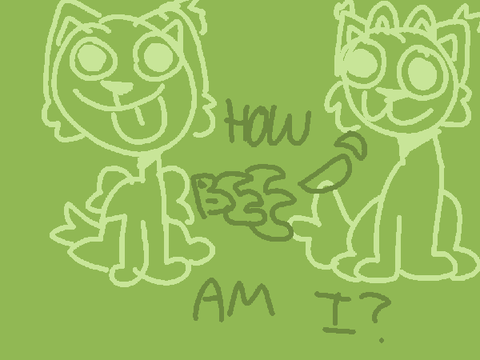 HOW BEE AM I