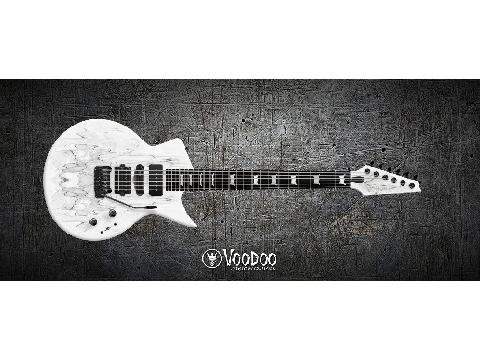 Custom Guitar for the Contest