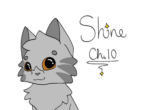 Shine ~ TNE :3