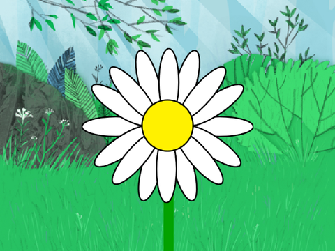 Flower Maker