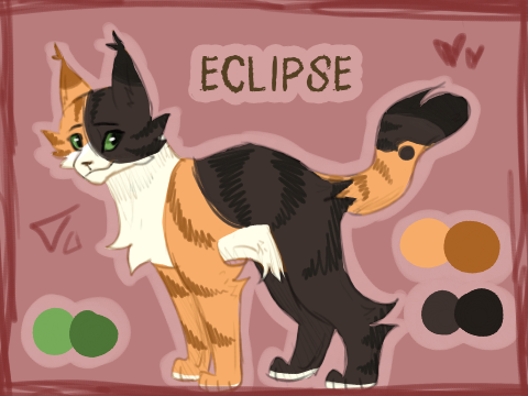 ~ OC Ref Sheets ~