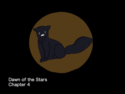 Dawn of the Stars ✦ Ch.4