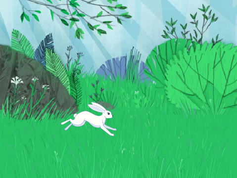 Rabbit Cutie Forest 