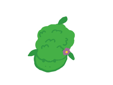 Plant Sheep OC