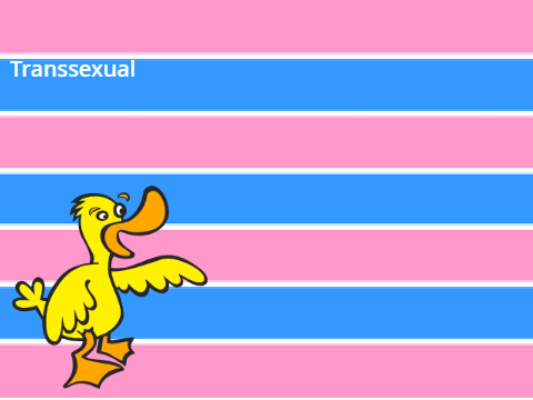 LGBTQIA++ Class for people who want to learn part 2