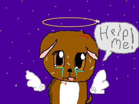 Remix If You Are Against Animal Cruelty :c Remix