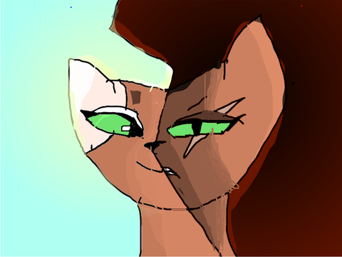 Warrior Cats Game TN 