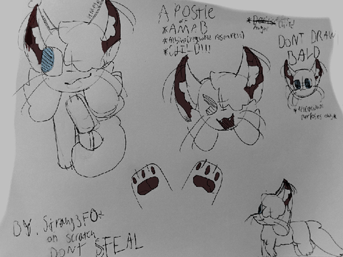 Kit request(ig) - Apostle