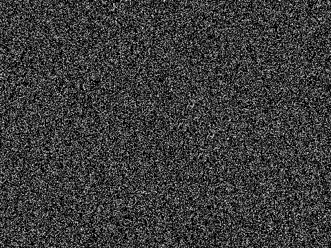 Cool Optical Illusion