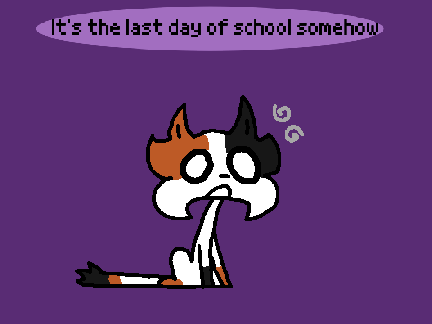 I finished school (for this year)