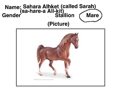 Breyer breeding Sign up sheet remix-3