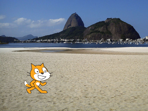 Everything you need to know about scratch