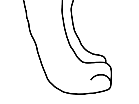 Walkings paws test