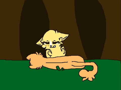 WARRIOR CATS ANGELS (MAP) 6 DONE