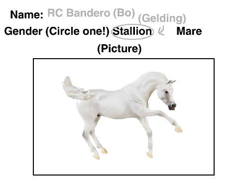 Breyer breeding Sign up sheet RC Bandero