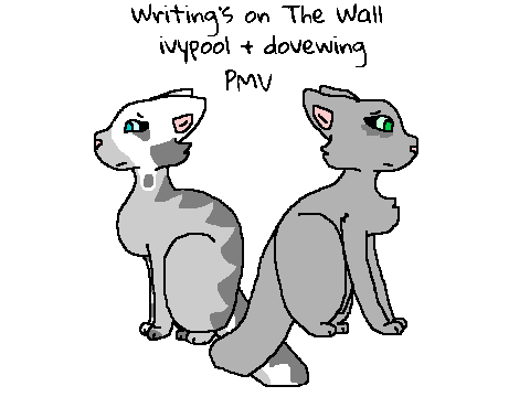 writing's on the wall [dovewing + ivypool PMV]