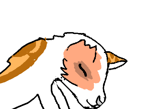 Brightheart x Cloudtail Animation!