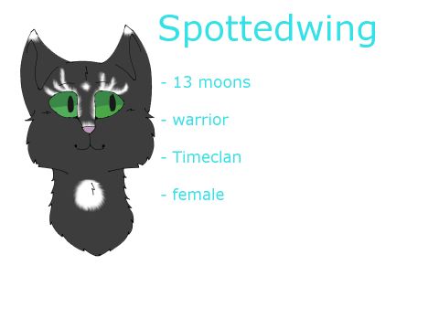 Spottedwing Ref. Timeclan RP