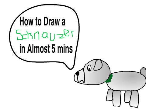 How to draw a Schnauzer!