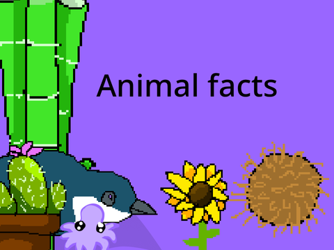 Animals and plants facts