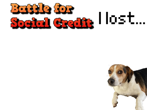 BFSC 15: I lost...