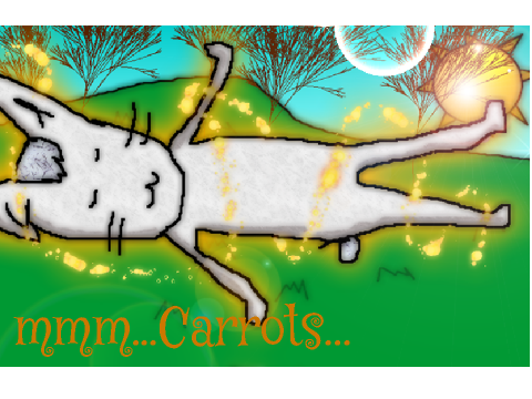 Dream CC entry
