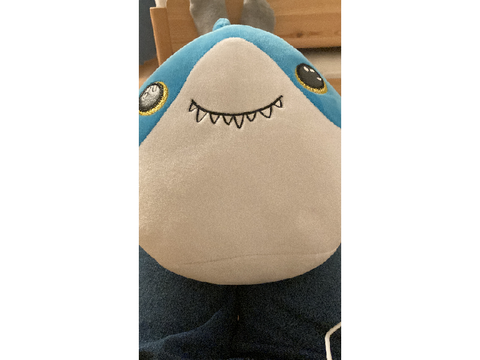 Cute little MemesShark