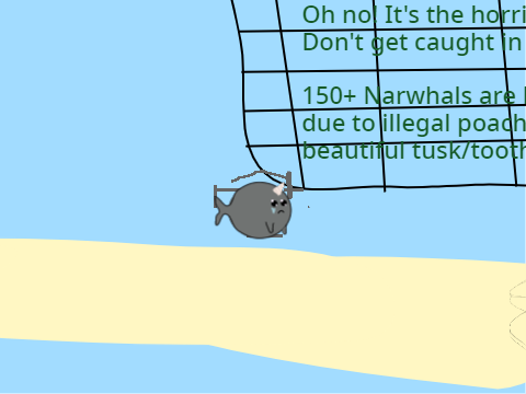 Journey of the Narwhal