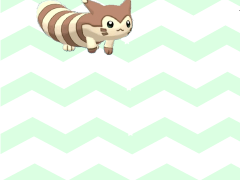 YOUR OWN PET!