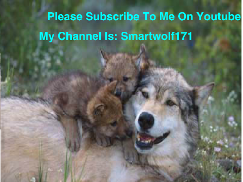  Please Sub