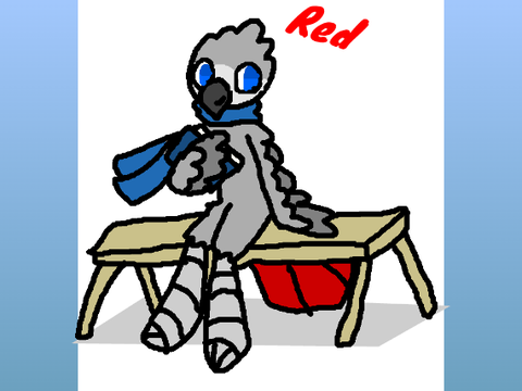 African grey