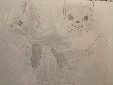 DTIYSE (NOT MY ART)