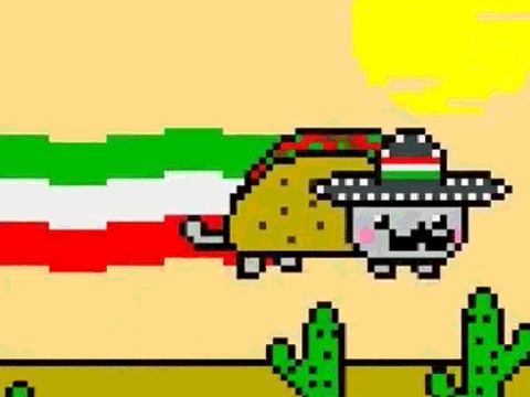 TocoCat Nyan